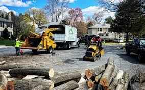 Best Tree Health Inspection  in Ellsworth, WI
